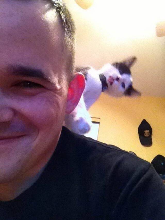 daily picdump 92 pics 17.html - 92 HD Photos | Premium Gallery 2018