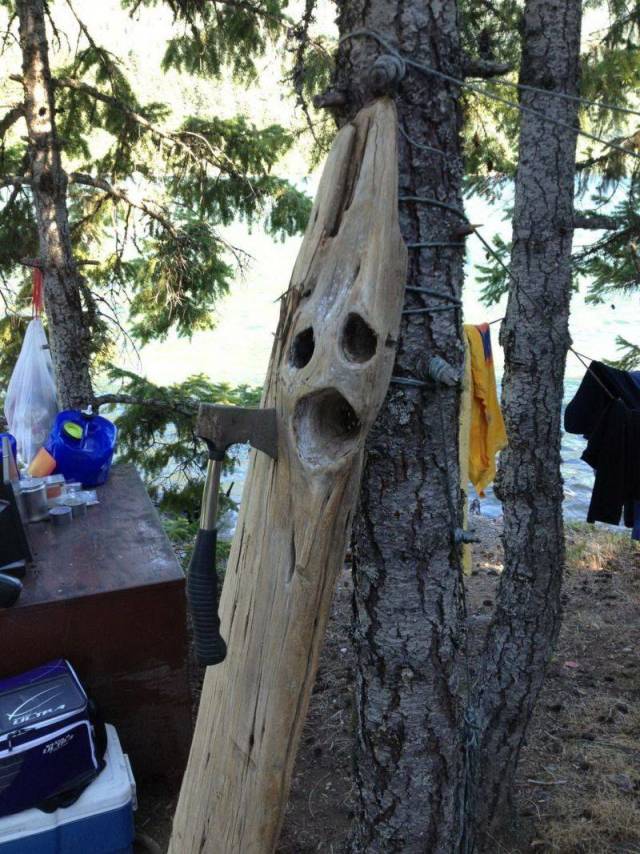 daily picdump 92 pics 17.html - 92 HD Photos | Premium Gallery 2018