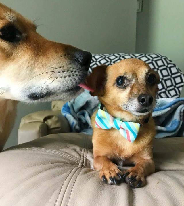 daily picdump 92 pics 17.html - 92 HD Photos | Premium Gallery 2018