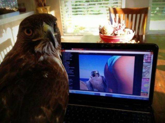 Dirty Mind, Come Here!