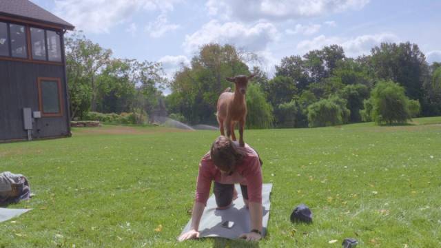 morning picdump 56 pics 56.html - 56 HD Photos | Premium Gallery 2018