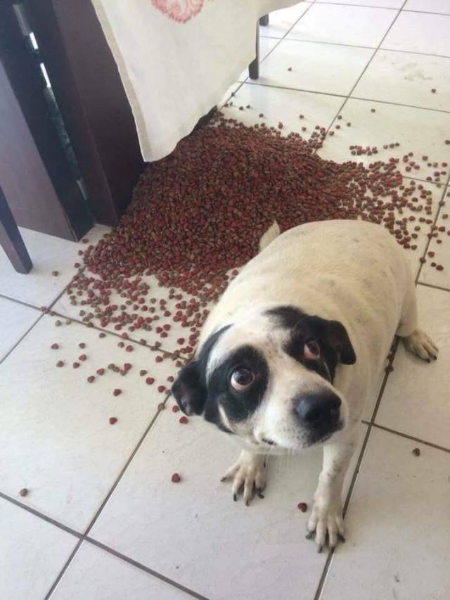 daily picdump 91 pics 4.html - 91 HD Photos | Premium Gallery 2018