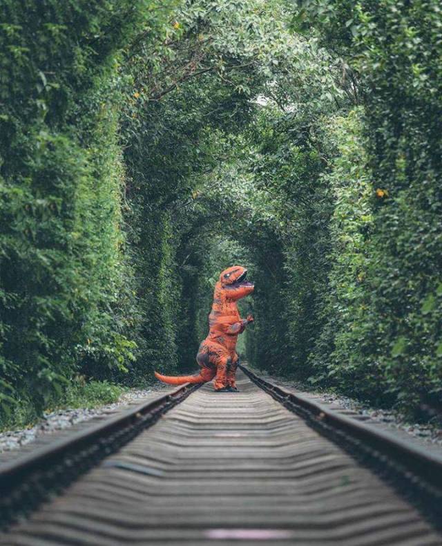 daily picdump 91 pics 4.html - 91 HD Photos | Premium Gallery 2018