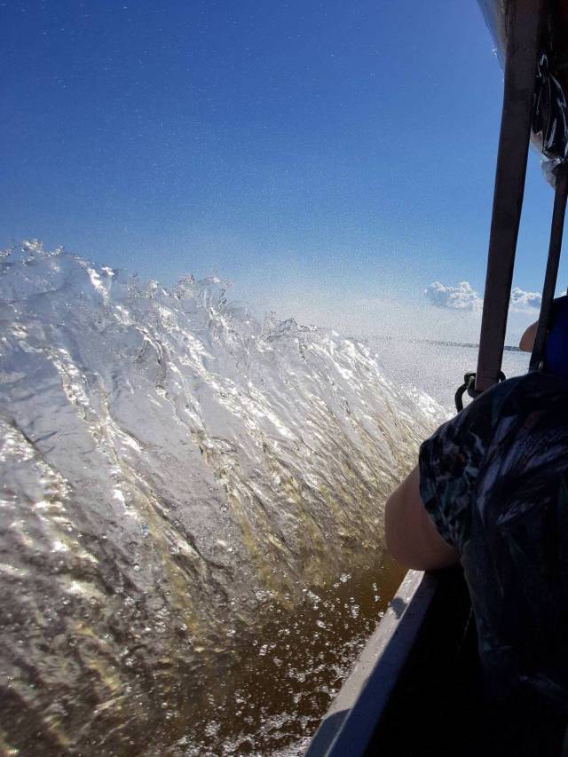 daily picdump 91 pics 4.html - 91 HD Photos | Premium Gallery 2018