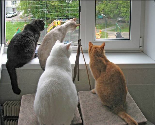 morning picdump 54 pics 30.html - 54 HD Photos | Premium Gallery 2018