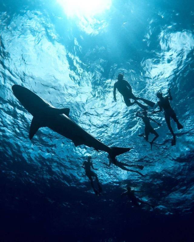 morning picdump 54 pics 30.html - 54 HD Photos | Premium Gallery 2018