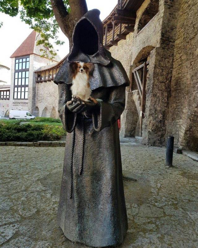 morning picdump 54 pics 30.html - 54 HD Photos | Premium Gallery 2018