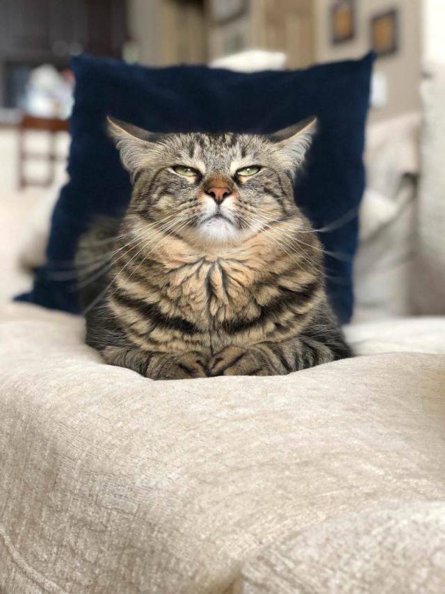 morning picdump 54 pics 30.html - 54 HD Photos | Premium Gallery 2018