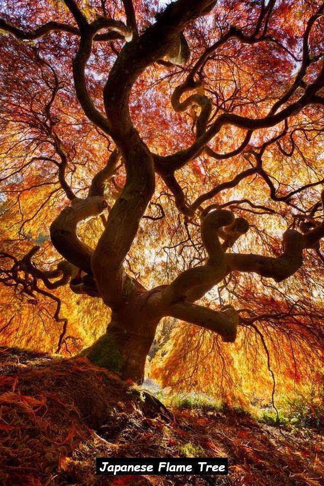 morning picdump 54 pics 30.html - 54 HD Photos | Premium Gallery 2018