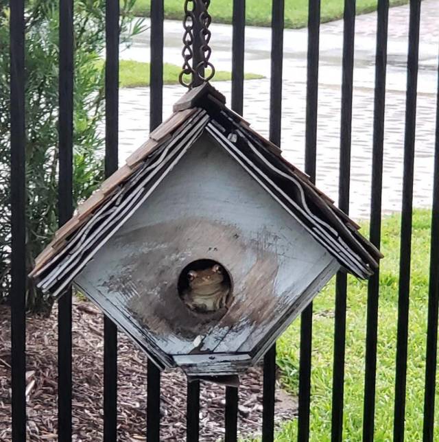 morning picdump 54 pics 30.html - 54 HD Photos | Premium Gallery 2018