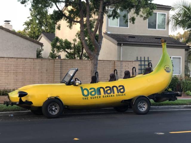 daily picdump 83 pics 3.html - 83 HD Photos | Premium Gallery 2018