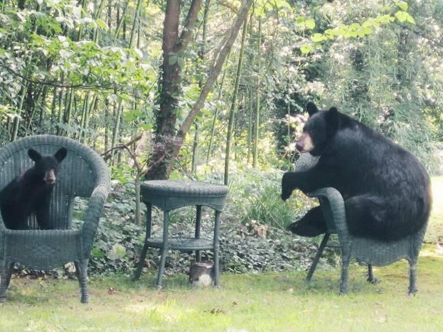 daily picdump 83 pics 3.html - 83 HD Photos | Premium Gallery 2018