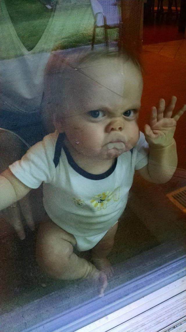 daily picdump 83 pics 3.html - 83 HD Photos | Premium Gallery 2018