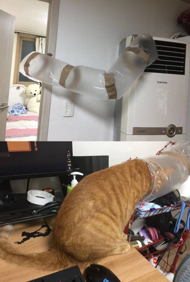 daily picdump 83 pics 3.html - 83 HD Photos | Premium Gallery 2018