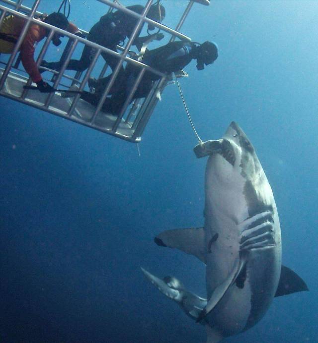 morning picdump 58 pics 54.html - 58 HD Photos | Premium Gallery 2018