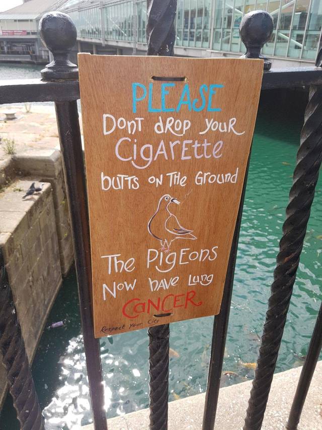 morning picdump 58 pics 54.html - 58 HD Photos | Premium Gallery 2018