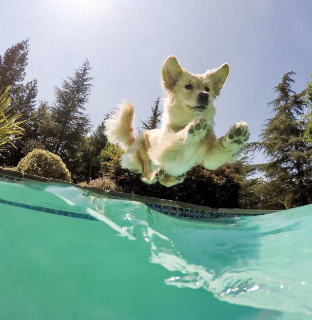 morning picdump 58 pics 54.html - 58 HD Photos | Premium Gallery 2018