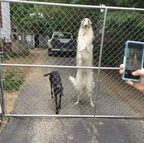 Daily Picdump [WEEKEND EDITION]