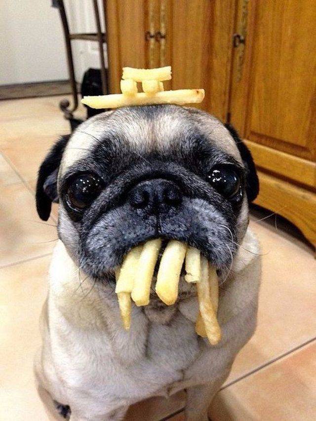 Daily Picdump [WEEKEND EDITION]