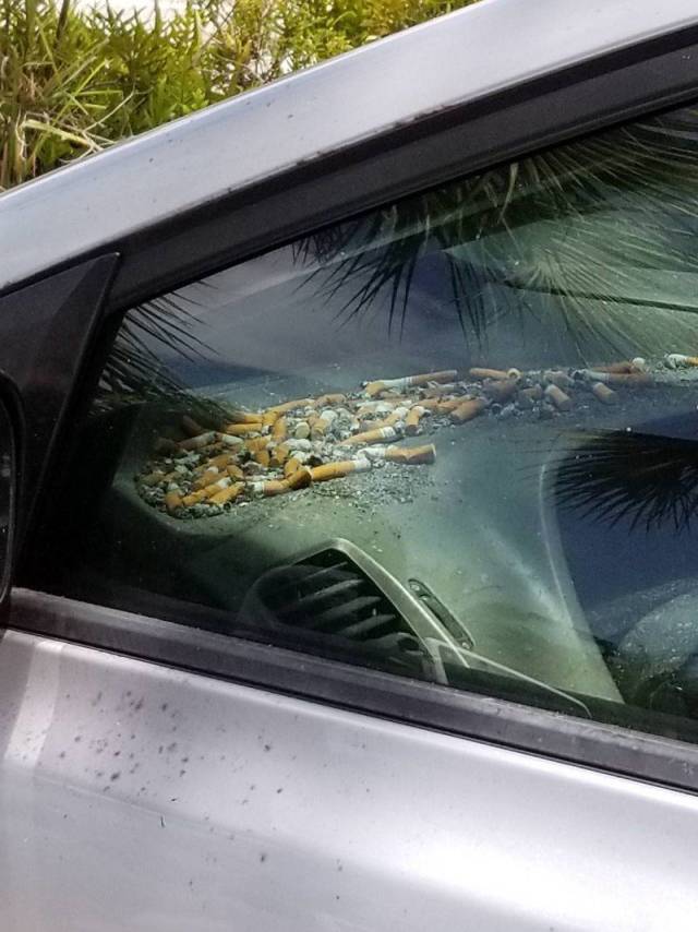 daily picdump weekend edition 63 pics 3.html - 63 HD Photos | Premium Gallery 2018