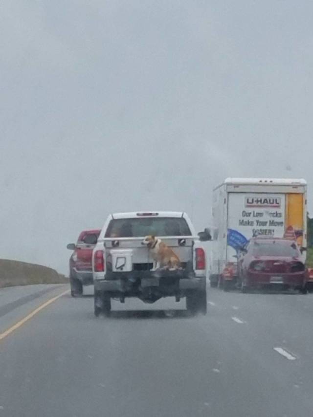 daily picdump weekend edition 63 pics 3.html - 63 HD Photos | Premium Gallery 2018