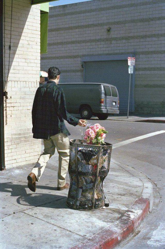 daily picdump weekend edition 63 pics 3.html - 63 HD Photos | Premium Gallery 2018