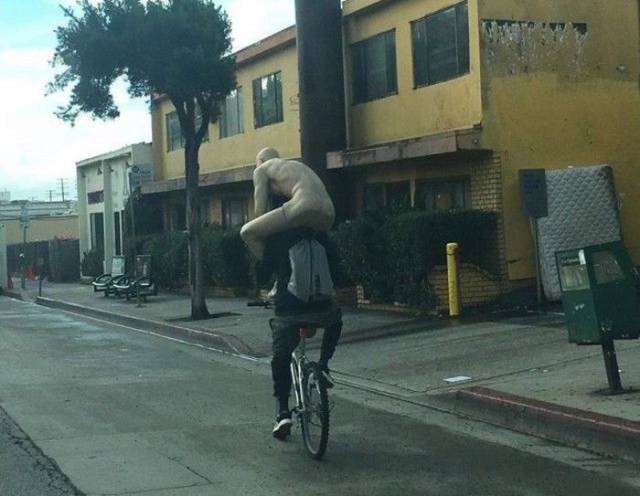 daily picdump 93 pics 3.html - 93 HD Photos | Premium Gallery 2018