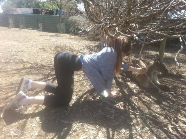 daily picdump 93 pics 3.html - 93 HD Photos | Premium Gallery 2018