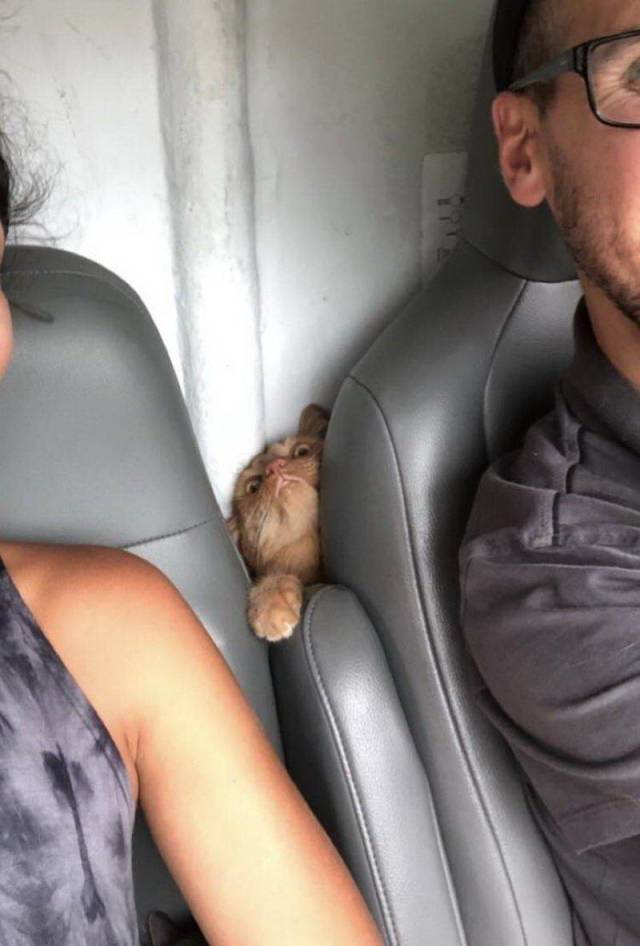 daily picdump 93 pics 3.html - 93 HD Photos | Premium Gallery 2018