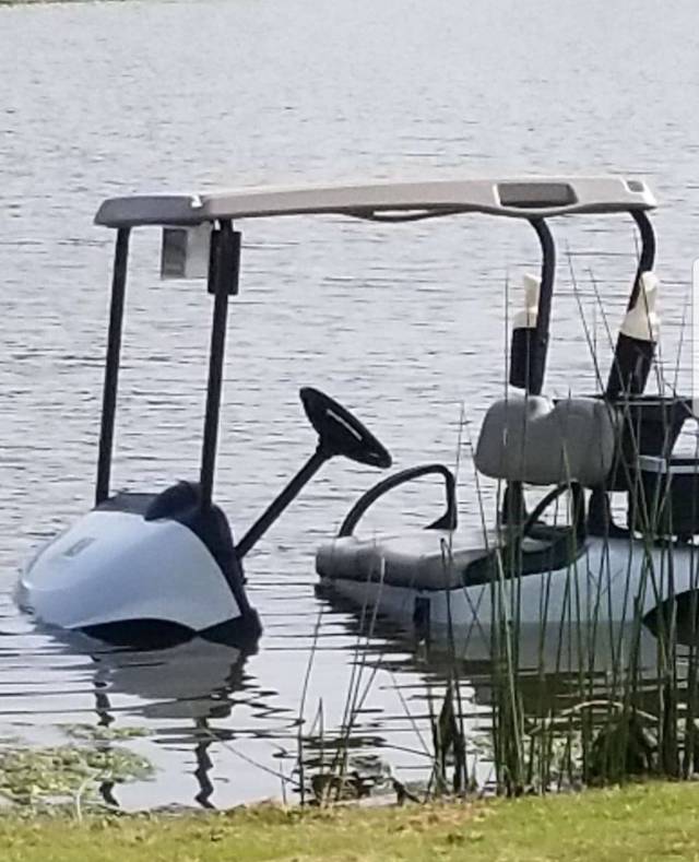 daily picdump 93 pics 3.html - 93 HD Photos | Premium Gallery 2018