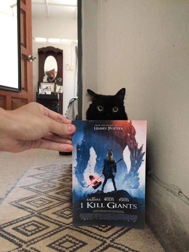 daily picdump 93 pics 3.html - 93 HD Photos | Premium Gallery 2018