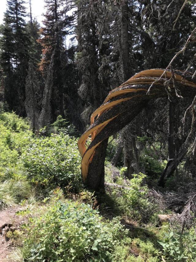 daily picdump 93 pics 3.html - 93 HD Photos | Premium Gallery 2018