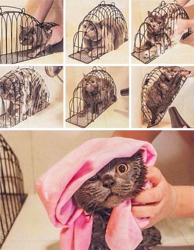 daily picdump 93 pics 3.html - 93 HD Photos | Premium Gallery 2018