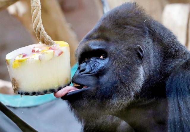 daily picdump 100 pics 2.html - 100 HD Photos | Premium Gallery 2018