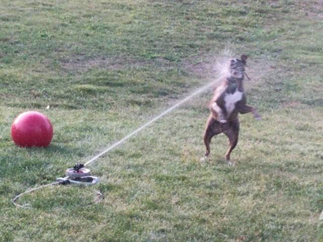 daily picdump 100 pics 2.html - 100 HD Photos | Premium Gallery 2018