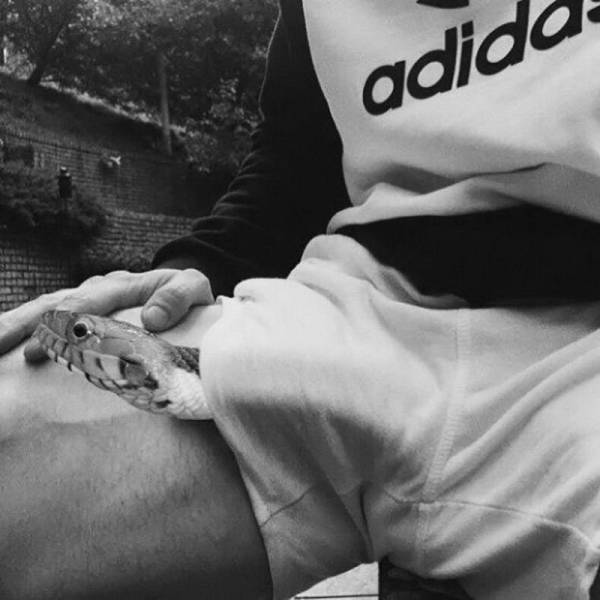 daily picdump 100 pics 2.html - 100 HD Photos | Premium Gallery 2018