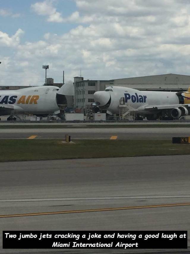 daily picdump 100 pics 2.html - 100 HD Photos | Premium Gallery 2018