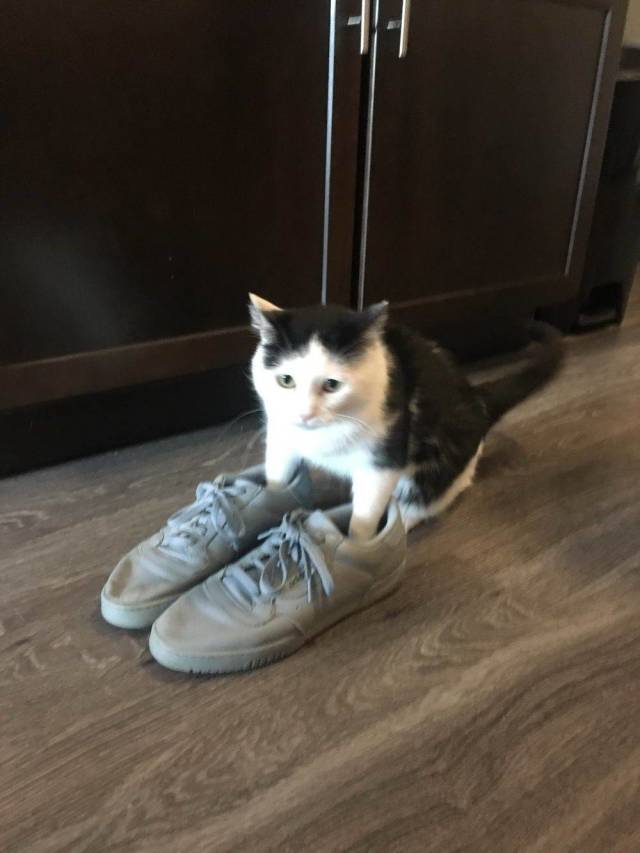 daily picdump 100 pics 2.html - 100 HD Photos | Premium Gallery 2018