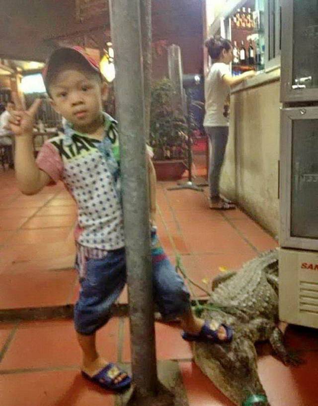 daily picdump 100 pics 2.html - 100 HD Photos | Premium Gallery 2018