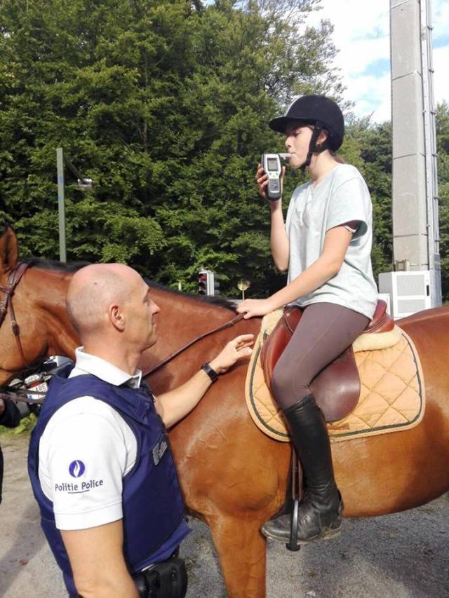 daily picdump 100 pics 2.html - 100 HD Photos | Premium Gallery 2018