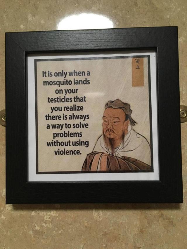 daily picdump 100 pics 2.html - 100 HD Photos | Premium Gallery 2018