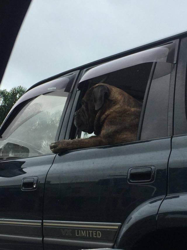 daily picdump 100 pics 2.html - 100 HD Photos | Premium Gallery 2018