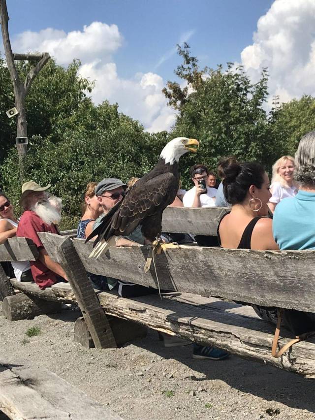 daily picdump 100 pics 2.html - 100 HD Photos | Premium Gallery 2018