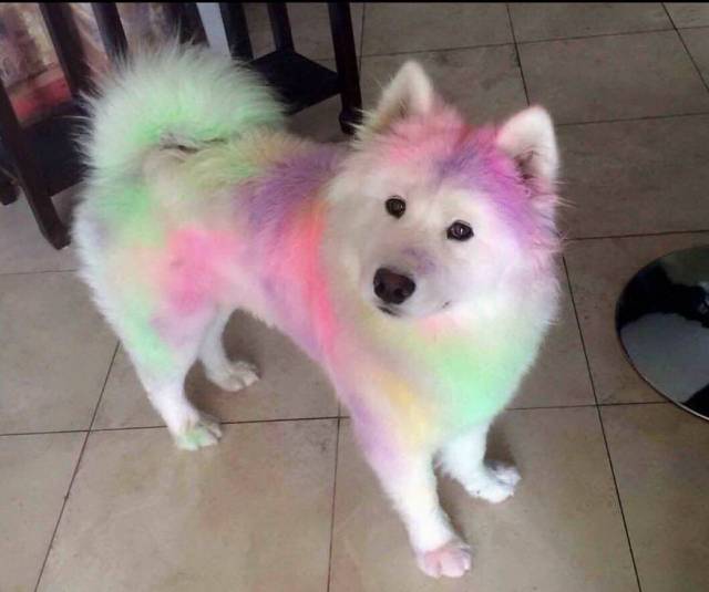 daily picdump 100 pics 39.html - 100 HD Photos | Premium Gallery 2018