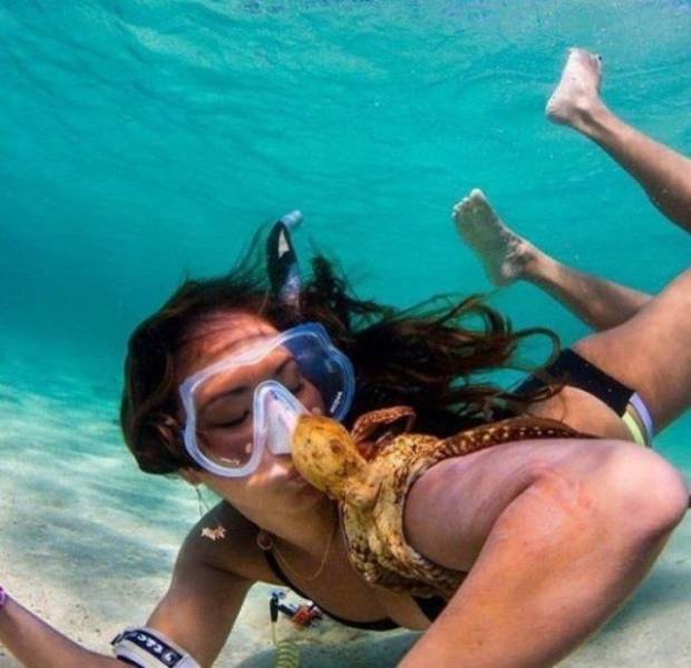 daily picdump 100 pics 39.html - 100 HD Photos | Premium Gallery 2018