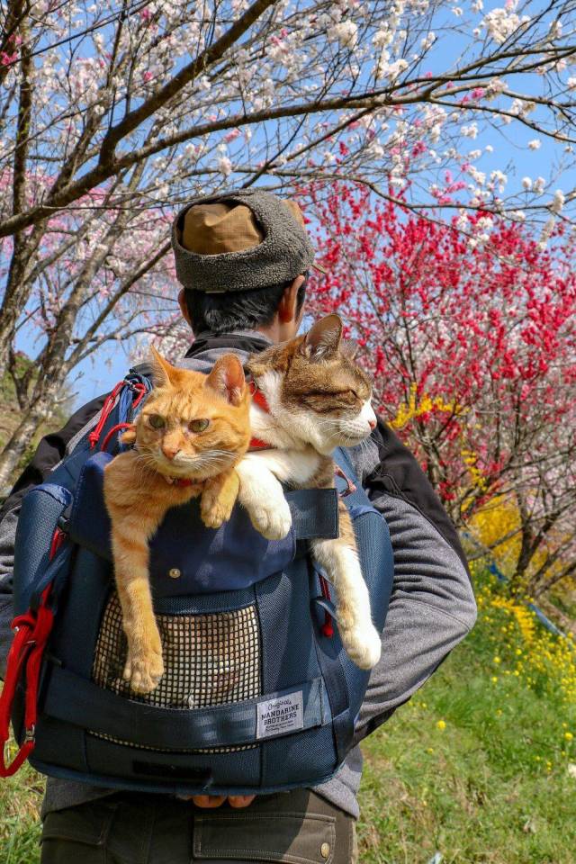daily picdump 100 pics 39.html - 100 HD Photos | Premium Gallery 2018