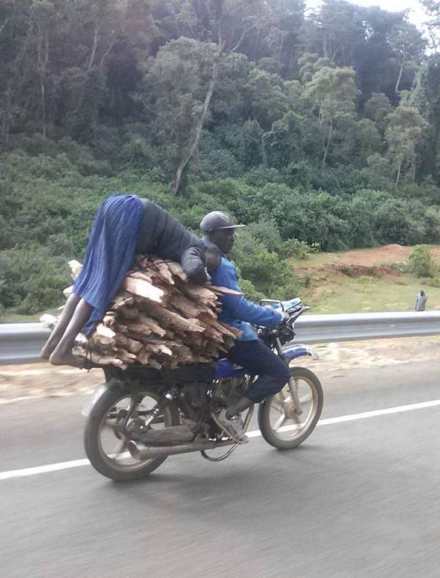 daily picdump 100 pics 39.html - 100 HD Photos | Premium Gallery 2018