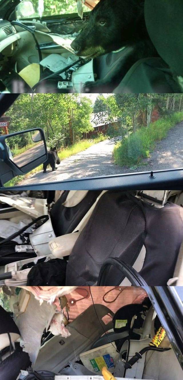 daily picdump 100 pics 39.html - 100 HD Photos | Premium Gallery 2018