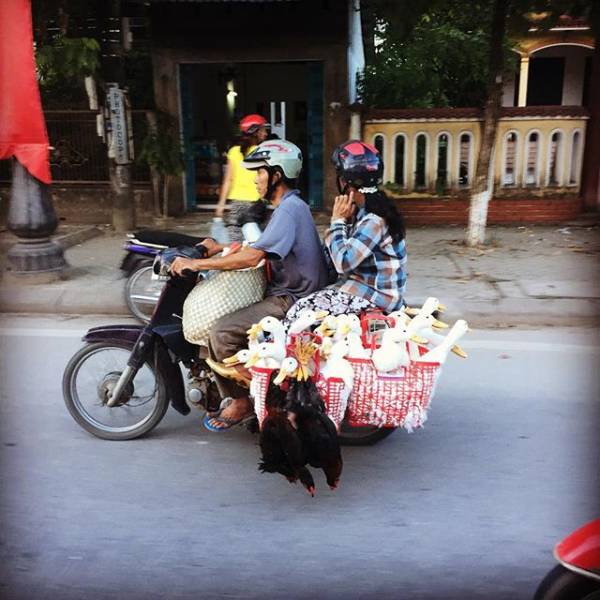 morning picdump 50 pics 2.html - 50 HD Photos | Premium Gallery 2018
