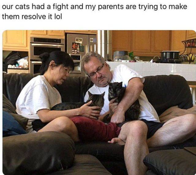morning picdump 50 pics 2.html - 50 HD Photos | Premium Gallery 2018